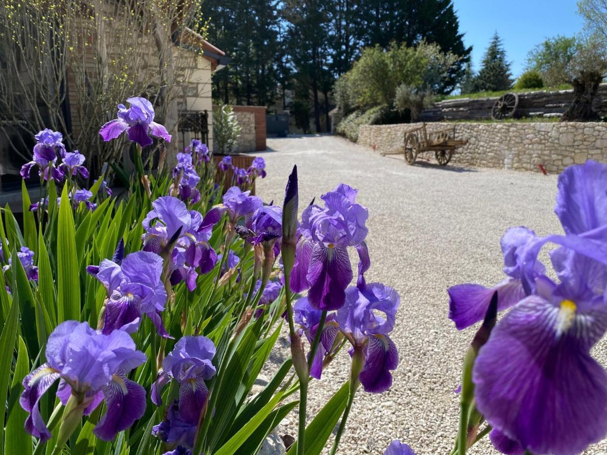 Le Relais De Campagne Bed and Breakfast Trejouls Buitenkant foto